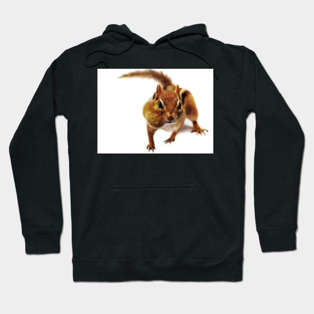 On The Prowl... Hoodie by LaurieMinor